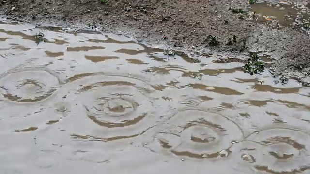 雨下降视频素材