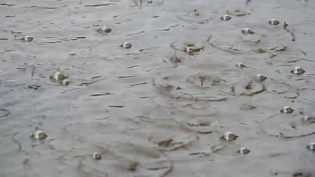 雨下降视频素材