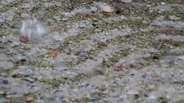 雨水中的清水视频素材