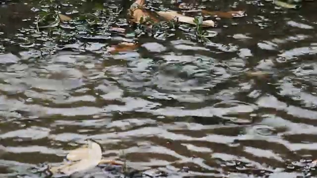 清澈的雨水视频素材