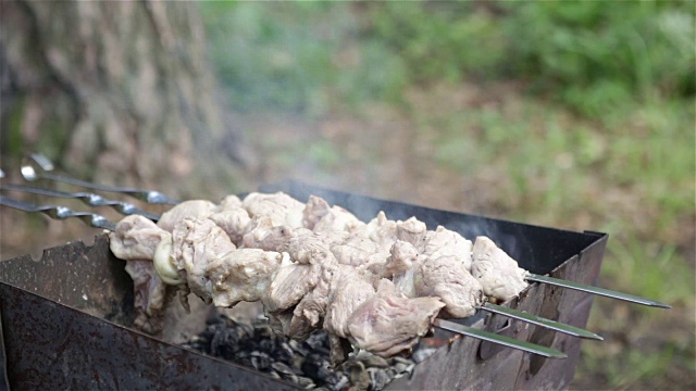 在火盆里用木炭煮烤肉串。视频素材