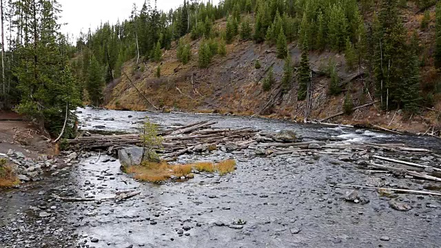 大山河在森林与秋天的颜色视频下载