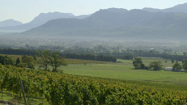 在南非西开普省的Franschhoek，清晨，薄雾笼罩的山谷和远处的葡萄园和山脉视频素材