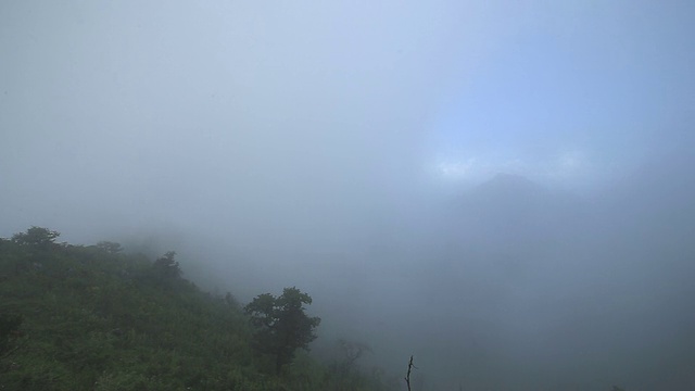 热带山脉的晨雾视频素材