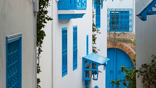 Sidi Bou Said村的房子视频素材