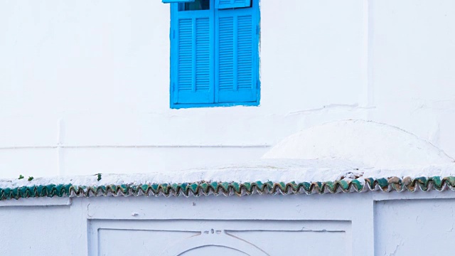 Sidi Bou Said村的房子视频素材