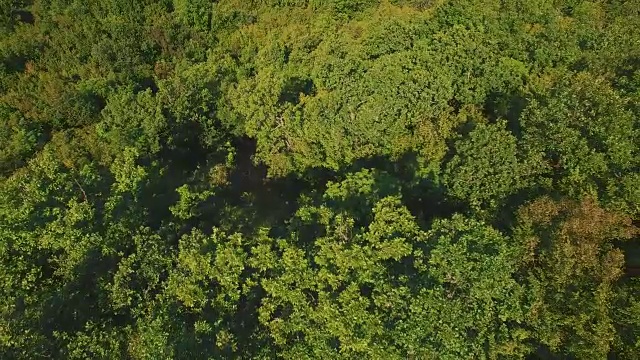 绿色景观-航拍视频视频下载