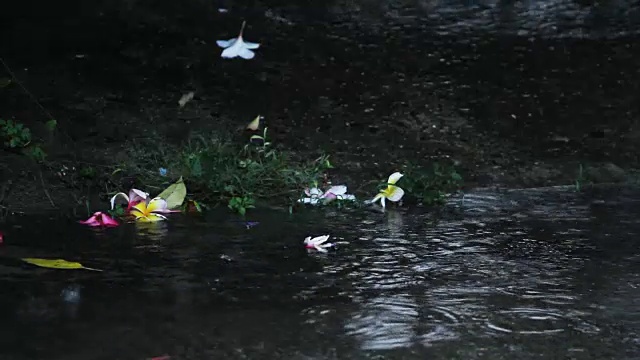 雨在地板上视频素材