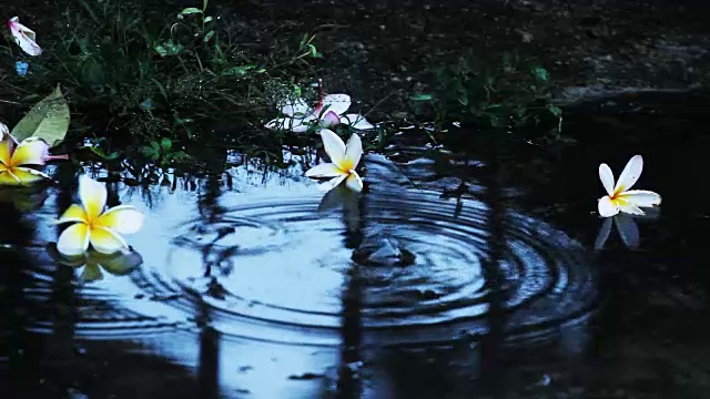 雨在地板上视频素材