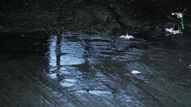 雨在地板上视频素材