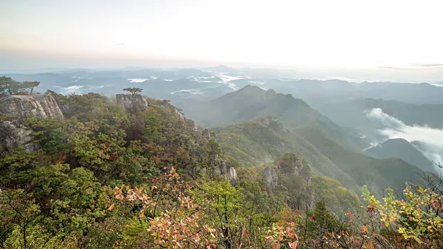 大敦山的山顶和一棵松树视频素材