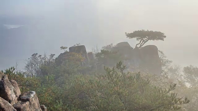 大敦山的山顶和一棵松树视频素材