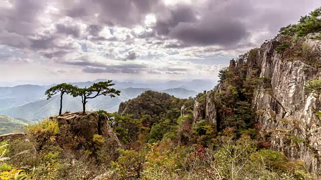 大山景观和一棵松树视频素材