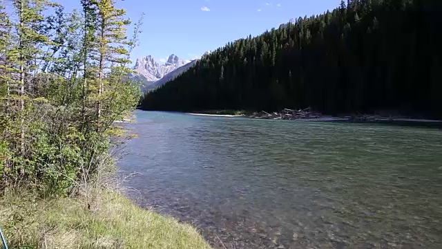 女徒步者沿着山河的小路，穿过森林视频素材