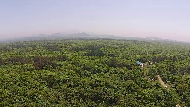 鸟瞰图的Gotjawal森林在济州岛视频素材