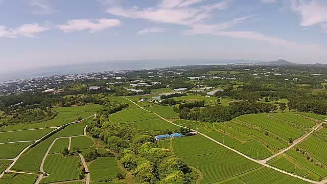 济州岛的奥苏洛克绿茶田视频素材