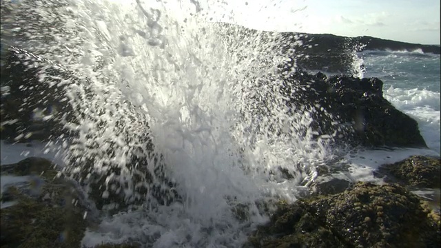 喷水孔在阿森松岛的岩石海岸喷射海水视频素材