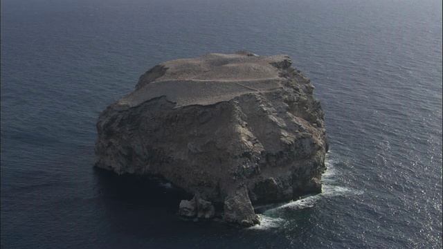 海鸟飞过大西洋的岩石岛，阿森松岛视频素材