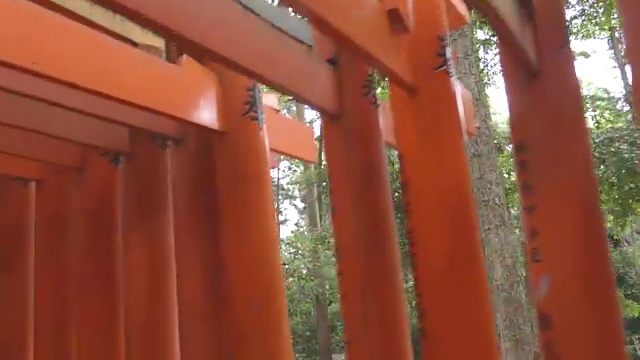 日本的神社-富见稻立视频素材