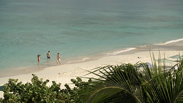 游客沿着海滩散步/大开曼群岛，加勒比海视频素材