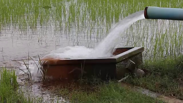 水从管子流入盆里的水。视频素材