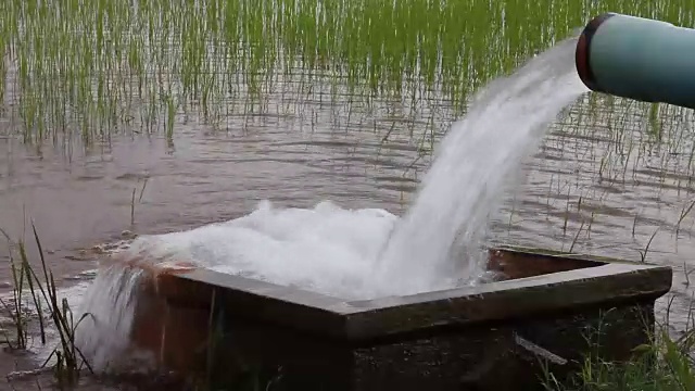 水从管子流入盆里的水。视频素材