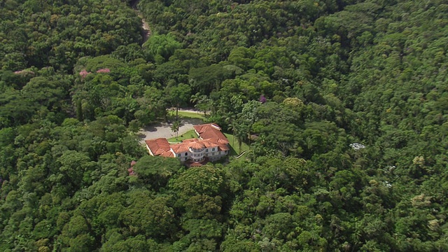 MS AERIAL ZO View over Fauna and Flora /里约热内卢de Janeiro，巴西视频素材