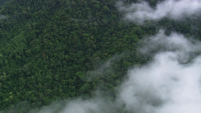 云层鸟瞰图的山脉森林地区/圣保罗，巴西视频素材