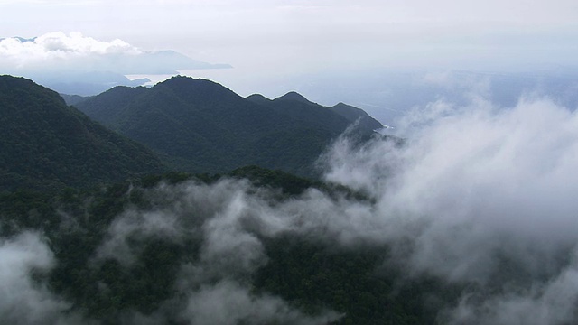 WS AERIAL TD图:巴西圣保罗山脉上的云视频素材