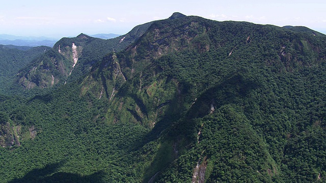 巴西圣保罗Jureia Itatins森林山谷和山地生态站的WS鸟瞰图视频素材