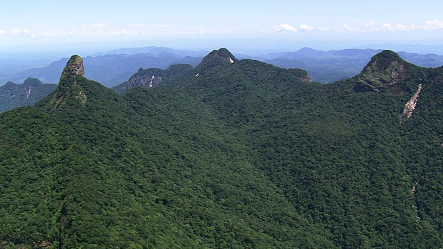 巴西圣保罗Jureia Itatins森林山谷和山地生态站的WS鸟瞰图视频素材