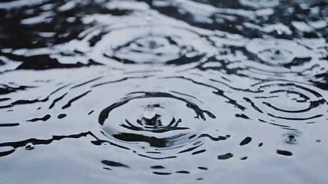 水坑和雨滴-特写镜头-纽约市的雷雨视频素材