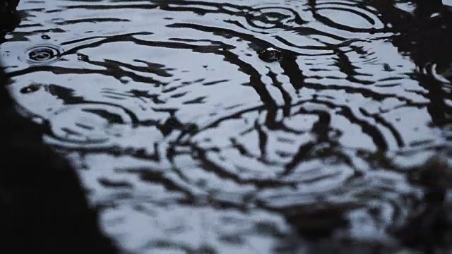 水坑和雨滴-特写镜头-纽约市的雷雨视频素材