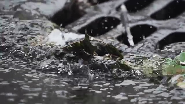 纽约雷雨期间的暴雨下水道特写视频素材