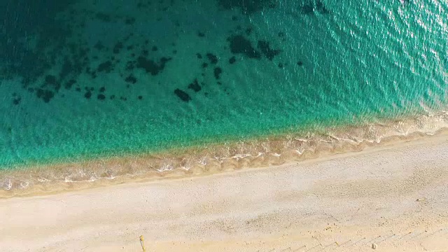 天线:有海藻的海床视频素材