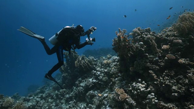 水下视频视频素材