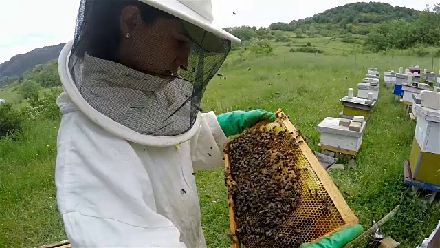 女人看着蜂房里满是蜜蜂视频素材