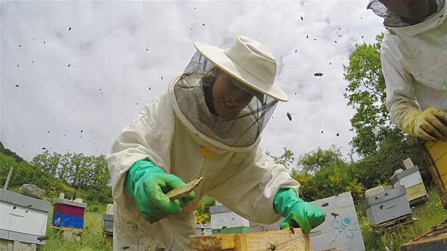 在蜂巢中改变蜂巢的结构视频素材