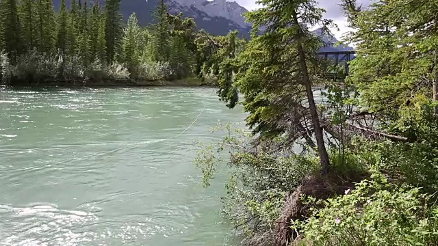 女山地自行车手到达河边，森林下面，山脉视频素材