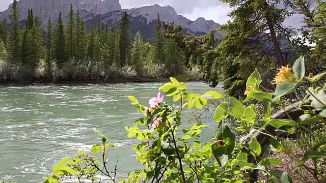 女山地自行车手到达河边，森林下面，山脉视频素材