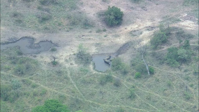 Wolhuter野外营地和三只犀牛-鸟瞰图-普马兰加，南非视频素材