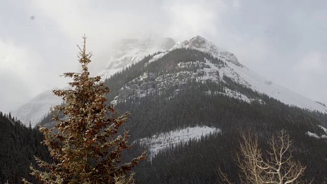 雪山峰/班夫，加拿大视频素材