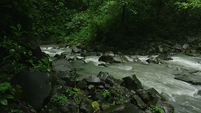 慢速宽镜头岩石河流动在雨林/阿雷纳尔，拉福图纳，哥斯达黎加视频素材