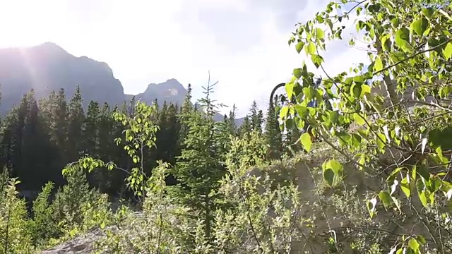 男性山地自行车骑手攀登陡峭的小径，携带自行车视频素材