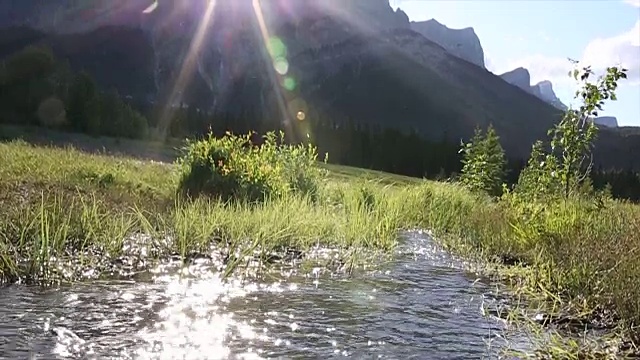 山地车骑手跟随溪流进入远处的草地视频素材