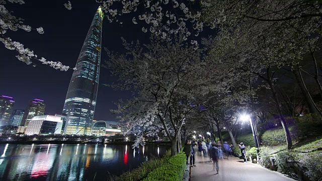 在樱花树和乐天世界大厦的背景下，人们在锡洲湖公园的夜晚视频素材