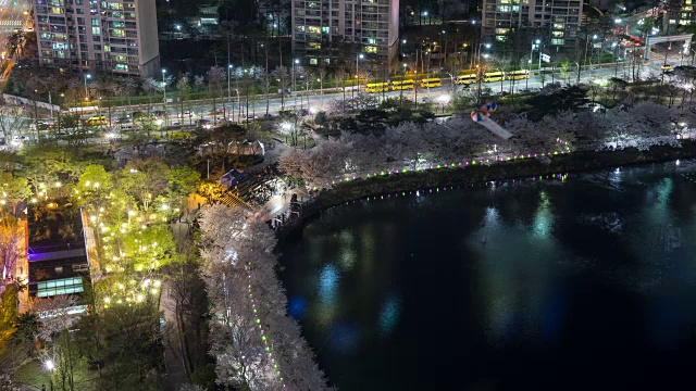 鸟瞰图樱花节在锡洲湖公园晚上视频素材