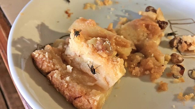 苹果酥饼上的家蝇视频素材