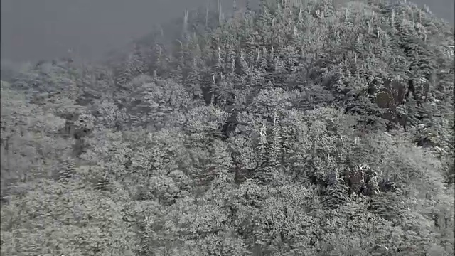 鸟瞰冰雪覆盖的日三山国家公园视频素材