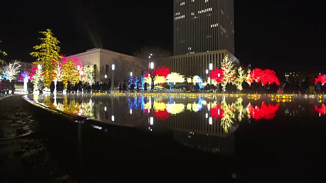 盐湖城的圣诞彩灯和水池倒影视频素材